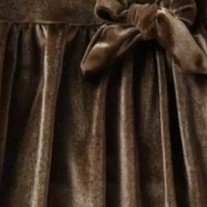 ER LIFE Style Velvet Fit & Flare Dress, Brown